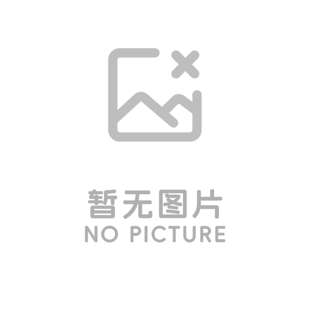 程力专用汽车股份有限公司简介